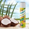 Batiste Dry Shampoo, Tropical, 6.73 Ounce (Packaging May Vary)