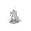 Tiefling Paladin Tabletop DND Gaming Miniature