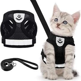 Arnés con correa para Perro Chico o Gato, diseño cómodo y resistente, Negro, XL