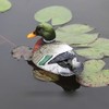 Outdoors Mallard Duck Statue, Realistic Duck Floater Floating Duck Decoys