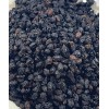 Fresh Organic Whole Elderberries (Sambucus nigra) Wellness, Elderberry FRESH BATCH