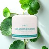 Lapuu Hyaluronic Acid Cica Soothing Moisture Cream 100ml / 라퓨 히알루론산 시카 수딩 수분크림 100ml