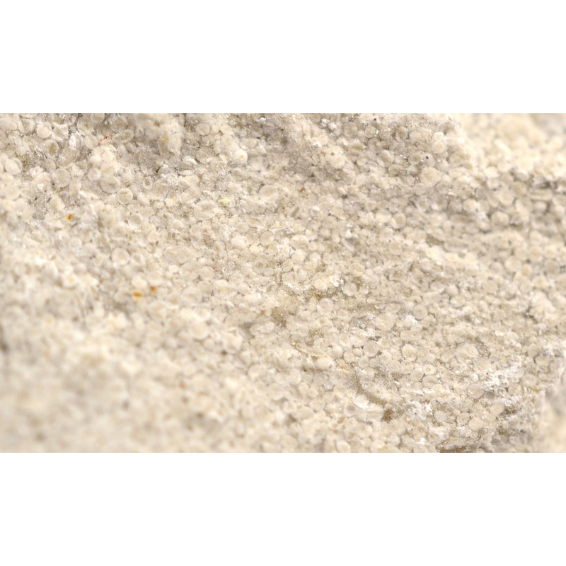 EISCO Oolitic Limestone Specimen (Sedimentary Rock), Approx. 1" (3cm)