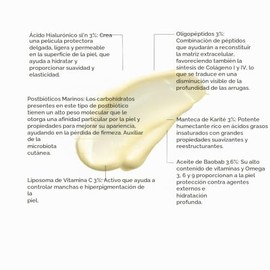 Reve Dermatologique | Dibel Lumiere - Humectación muy intensa - hidratación, vitalidad y tonicidad a la piel del rostro – 50 ml