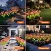 Aolyty Solar Garden Lights Outdoor, Solar Tulip Lights 2 Pack