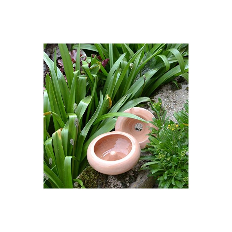 Varnished Ashtray - Medium Model