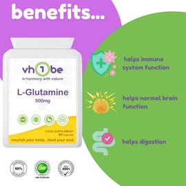L-Glutamine Supplement 500mg – 90 Capsules | Vegan Friendly | Supports Muscle Recovery & Gut Health | Non-GMO, Vegan-Friendly by vh1be