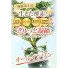 極濃 青汁 乳酸菌500億個 生きた酵素 (製薬会社と共同開発) 大麦若葉 無添加 国産 (1個 (x