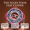 WHNICUST 3D Wooden Puzzle Music Box with Light Up Four-Leaf
