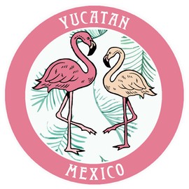 Blue Heron Two Flamingos Yucatan Mexico Car Truck Window Bumper Sticker Decal Souvenir - Pink