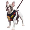 Arnés Pechera Ajustable Antitirones Para Perro Chico Mediano Redbull 3