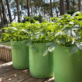 Selections Potato & Vegetable Planter Grow Bags 26 Litre (Pack of 3) Non - Woven Aeration Outdoor Fabric Pots
