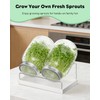Pawfly Sprouting Kit, Wide Mouth 32 Oz (1000 mL) Mason
