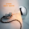 ARGANOL Half Chrome Light Bulb Dimmable 6W (Equivalent 60 Watt),