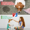 Jollywoods 3 Pack Washable Female Dog Diaper Onesie Sanitary Pantie