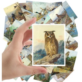 Large Stickers (24 pcs 2.5"x3.5") Amazin Wild Birds Antique Painting by Archibald Museum Vintage Owl Duck Eagle