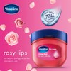 Vaseline - 2 Pack Bálsamo para Labios Mini Tarro HIDRATACIÓN