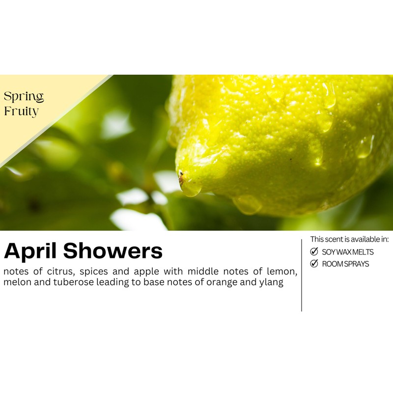 April Showers Highly Scented Soy Wax Melts