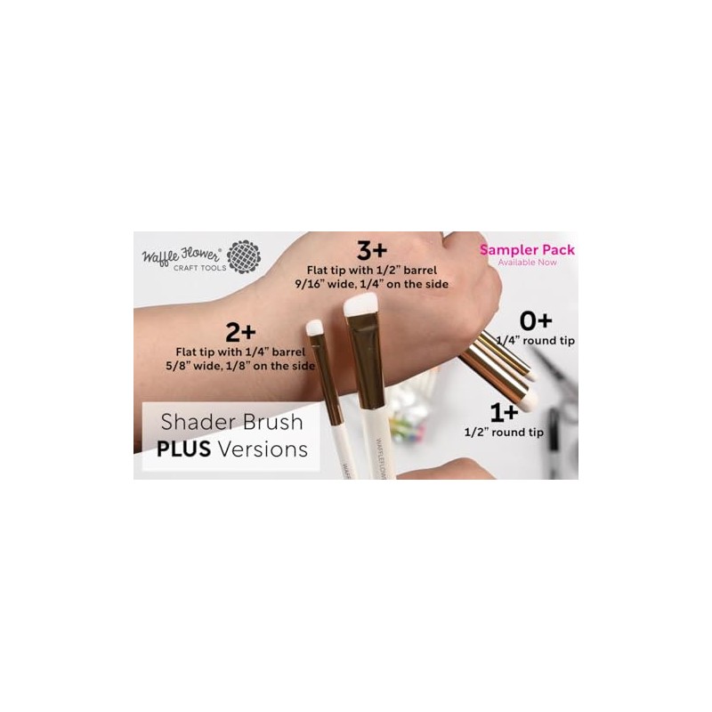 Waffle Flower Shader Brush 2+ (15/pk)