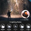 HYVCZP 1/2/3/5/10/20 Pack ​LED Torch,Super Bright Flashlight,5 Modes Adjustable Focus,