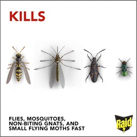 Raid Flying Insect Killer, 15 Ounce (Pack of 6)
