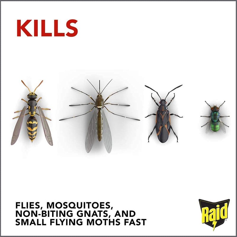 Raid Flying Insect Killer, 15 Ounce (Pack of 6)