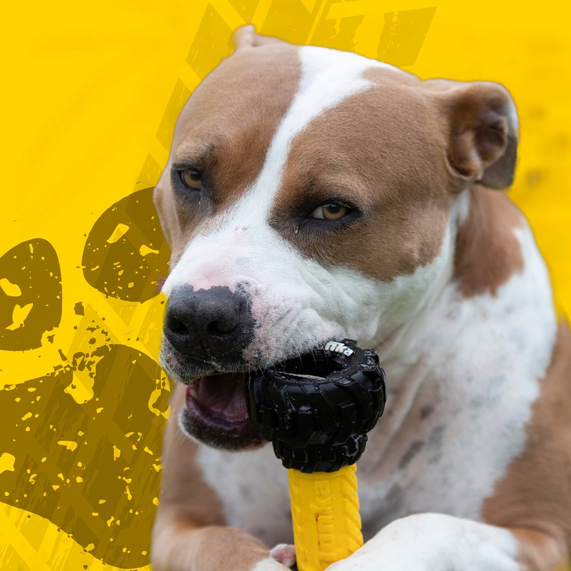 Tonka Axle Tread Dog Toy with Interactive Feeder, Lightweight, Durable