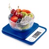 Ozeri Garden and Kitchen Scale II, with 0.1 g (0.005