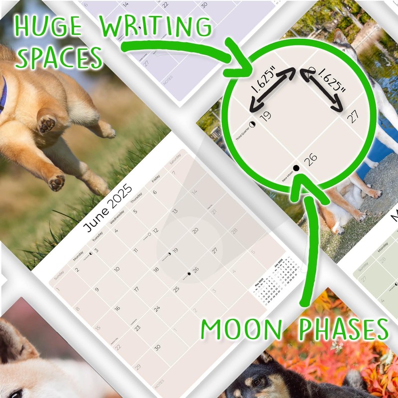 2024 2025 Shiba Inu Calendar - Dog Breed Monthly Wall