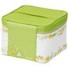 Skater (Skater) Picnic Lunch Box with Cooler Bag and Ice