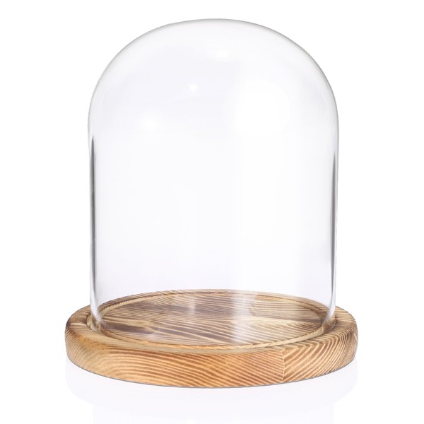 TOLIDA Glass Dome with Natural Wooden Base Robust Decorative Glass