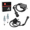 Ignition Coil Pack and CAP R+L & spark plug For