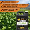 Whitetail Products Gone Wild, Mega Lime 10X, Food Plot Liquid