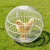 TINAFEITEM Rolling Small Animal Cage 11.8 inches, Metal Mesh Ball Cage