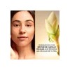 Yves Rocher Sérum Facial Antiedad Anti-Âge Global, Fórmula Vegana, 50