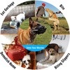 Dog Muzzle, Soft Rubber Safe Basket Breathable Muzzles Adjustable Straps