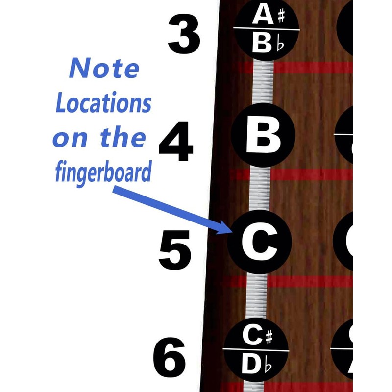 A New Song Music Laminated Violin Fiddle Fingerboard Instructional Chart