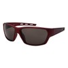 Edge I-Wear Wrap Style Sport Sunglasses Men Women Tinted Lens