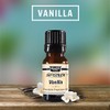 Best Vanilla Fragrance Oil - Top Scented Perfume Oil -