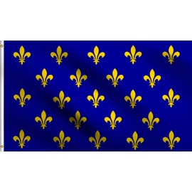 DMSE Blue Fleur De Lis Many France Royal Muti Flag 3X5 Ft Foot 100% Polyester 100D Flag UV Resistant (3' X 5' Ft Foot)