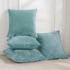 JELLYMONI Velvet Throw Pillow Covers Set of 4, 18 x