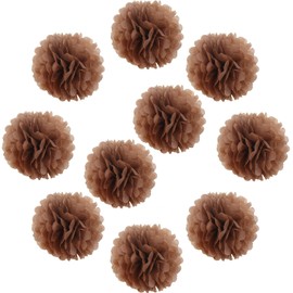 Lightingsky 10pcs DIY Decorative Tissue Paper Pom-poms Flowers Ball Perfect for Party Wedding Home Outdoor Decoration (8-inch Diameter, Coffer)