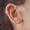 5Pairs Gold Flat Back Stud Earrings Set for Women Men,Hypoallergenic