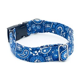 Caninus Collars Blue Bandana Paisley - 5/8" - 2" Width Dog Collar - Buckle & Martingale (Buckle Collar, XXL - 1.5" Width)
