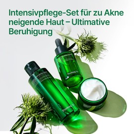 [PKY] Pyunkang Yul Korean Skincare Set, Soothing & Moisturising Care, Toner, Ampoule & Cream, Traditional Korean Packaging, No Irritation (3-Piece Set)