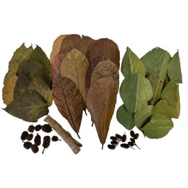 Awesome Aquatic Shrimp Combo Kit 10 Each Catappa, Mulberry and Dadap Leaves, Alder & Casuarina Cones, 10 g Catappa Bark and 1-6 inch Cholla Wood