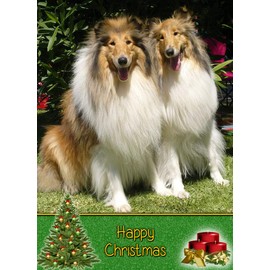 Rough Collie Dog Christmas Card 'Happy Christmas' - Special Animal Xmas Card for Him Her from Pets Kids