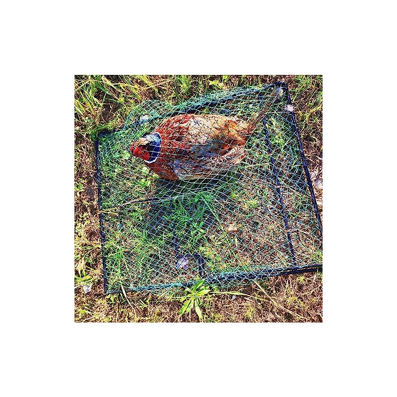 Pigeon Bird Trap Trapping Chicken Quail 2 Pack Spring Starling