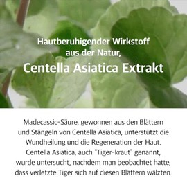 mixsoon Soondy Centella Asiatica Essence - Esencia Facial de CICA de Alta Concentración para Calmar y Refinar la Piel, Fórmula de Rápida Absorción par