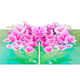 3D Birthday Card, Pop Up Phalaenopsis Greeting Card with Envelope for Use as Encouragement Cards, Graduation Cards, Consolation Cards, Thank You Cards